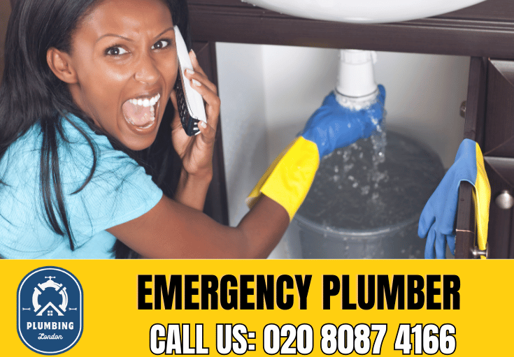 emergency plumber Poplar