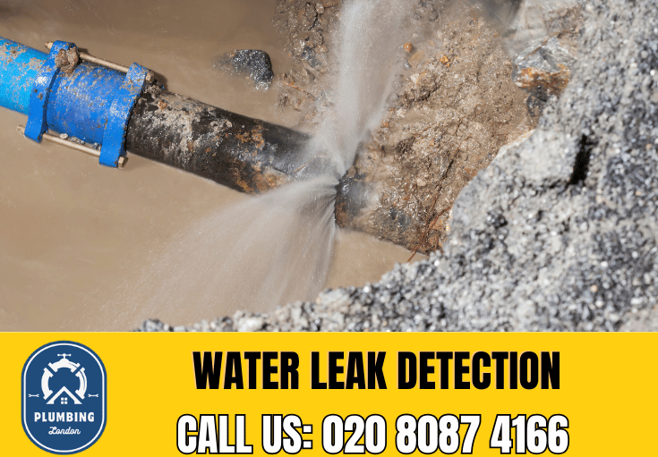 leak detection Poplar